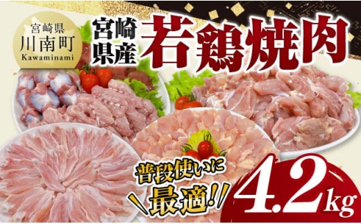 宮崎県産 若鶏 焼肉 4.2kg 【 もも 砂肝 小肉 チキンリブ 肩肉 鶏肉 とり肉 真空パック 】[C11625]