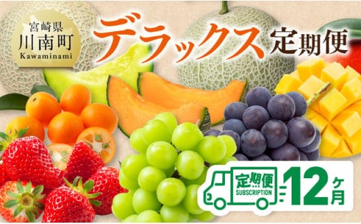 【 12ヶ月定期便 】 デラックス 定期便 【 川南町産 くだもの きんかん いちご 完熟 マンゴー ぶどう ピオーネ シャイン マスカット 大玉 メロン 】[D11717t12]