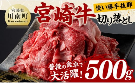 宮崎 牛切り落とし 500g【 肉 牛肉 国産 宮崎県産 黒毛和牛 和牛 切り落とし 】【D11418】
