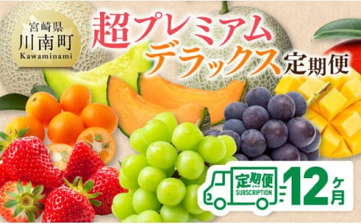 【 12ヶ月定期便 】 超 プレミアム デラックス 定期便 【 川南町産 くだもの きんかん いちご 完熟 マンゴー ぶどう ピオーネ シャイン マスカット 大玉 メロン 】[D11718t12]