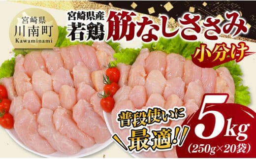 宮崎県産若鶏 筋なしささみ5kg（250g×20） 【 鶏肉 とり肉 ささみ 真空パック 】[D11619]