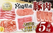 宮崎県産豚肉5種　5kg 【 豚肉 ぶた肉 肉 ロース バラ 切り落とし ミンチ 豚肉セット 】[C11629]