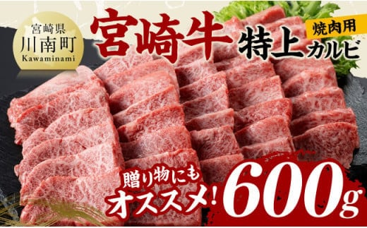 宮崎牛 特上カルビ 焼肉用 （三角バラ） 合計600g【 肉 牛肉 国産 宮崎県産 黒毛和牛 特上 カルビ 】[D11420]