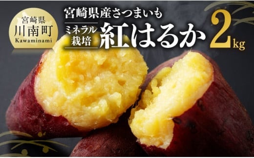 宮崎県産さつまいも ミネラル栽培 紅はるか 2kg 【 宮崎県産 九州産 いも 芋 サツマイモ 野菜 】［C10401］