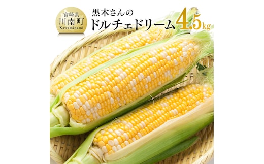 【令和8年発送】黒木さんのドルチェドリーム4.5kg【 数量限定 季節限定 産地直送 とうもろこし コーン とうきび 野菜 】［C10901］