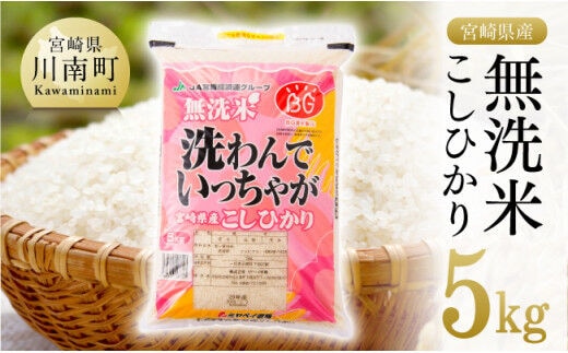 令和5年産 】早場米 宮崎県産無洗米こしひかり5kg【 米 お米 白米 精米