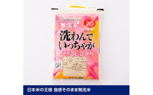 令和5年産 】早場米 宮崎県産無洗米こしひかり5kg【 米 お米 白米 精米