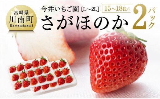 【令和9年発送】さがほのか（L~2L）15~18粒入×2パック 【 国産 イチゴ 苺 くだもの 果物 期間限定 数量限定 】［B04602］