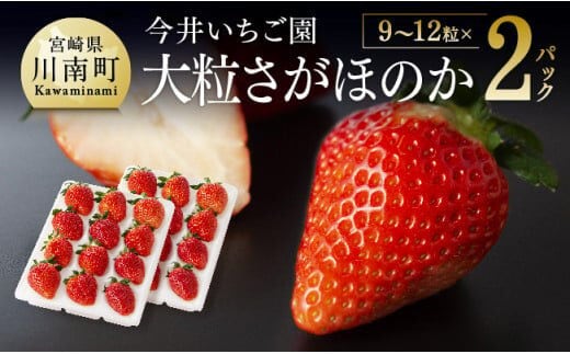 【令和9年発送】大粒さがほのか9~12粒入×2パック 【 国産 イチゴ 苺 果物 くだもの 期間限定 数量限定 】［B04603］