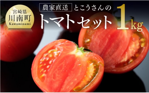 宮崎県産トマト とこうさんのトマト1kg（9～18個）【 宮崎県産 九州産 川南町産 トマト とまと 野菜 ヘルシー】［C06601］