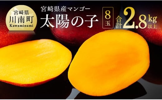 【令和8年発送】宮崎マンゴー 太陽の子８玉（2.8kg以上） 【 果物 フルーツ マンゴー 宮崎県産 みやざきマンゴー 】 [C06704]