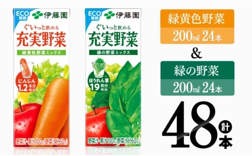 伊藤園 緑黄色野菜＆緑の野菜（紙パック）48本 【 伊藤園 飲料類 野菜 ミックス 緑の野菜 ジュース セット 詰め合わせ 飲みもの 】［E7359］