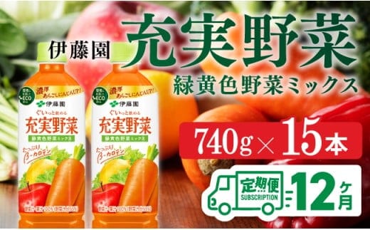 【12ヶ月定期便】 伊藤園 充実野菜 緑黄色野菜ミックス ペットボトル 740g×15本 【 飲料類 ソフトドリンク 野菜ジュース 】 宮崎県川南町 [E7366t12]