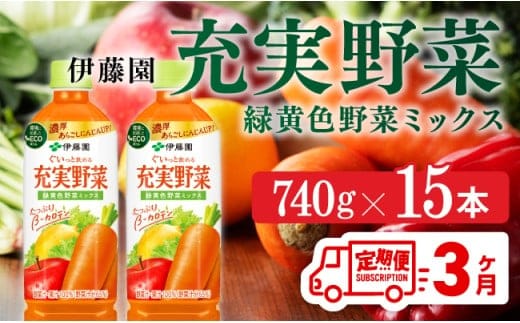 【3ヶ月定期便】 伊藤園 充実野菜 緑黄色野菜ミックス ペットボトル 740g×15本 【 飲料類 ソフトドリンク 野菜ジュース 】 宮崎県川南町 [E7366t3]
