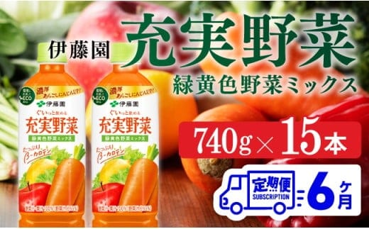 【6ヶ月定期便】 伊藤園 充実野菜 緑黄色野菜ミックス ペットボトル 740g×15本 【 飲料類 ソフトドリンク 野菜ジュース 】 宮崎県川南町 [E7366t6]