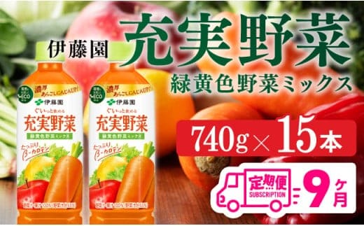 【9ヶ月定期便】 伊藤園 充実野菜 緑黄色野菜ミックス ペットボトル 740g×15本 【 飲料類 ソフトドリンク 野菜ジュース 】 宮崎県川南町 [E7366t9]