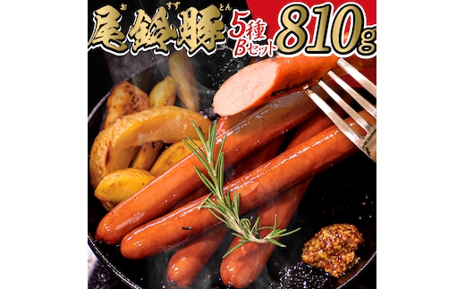 【PREMIUM PORK】尾鈴豚ハム・ソーセージ詰め合わせ 5種Bセット【 数量限定 肉 豚肉 ぶた 豚 国産 九州産 宮崎県産 ウインナ― 生ハム ソーセージ 加工品 】［C09203］