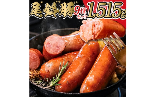 【PREMIUM PORK】尾鈴豚ハム・ソーセージ詰め合わせ 9種セット 【 数量限定 肉 豚肉 ぶた 豚 国産 九州産 宮崎県産 ウインナ― ハム 生ハム ソーセージ 加工品 】［C09208］