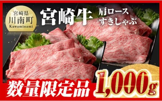 カテゴリー別ランキングページ|dショッピングふるさと納税百選