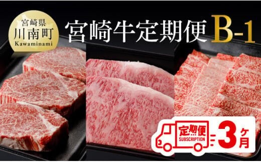 【定期便】宮崎牛３ヶ月定期便Ｂ‐１(ロースステーキ/肩ロース焼肉/ヒレステーキ)【 国産 九州産 肉 牛 宮崎県産 牛肉 黒毛和牛 ミヤチク 全3回 】［D00677t3］