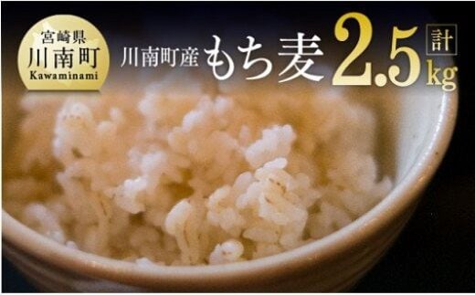 令和7年産 もち麦 2.5kg（500g×5袋） 【 ふるさと納税 国産 麦 もち麦 食物繊維 数量限定 宮崎県産 川南町産 送料無料 】 [C05401]