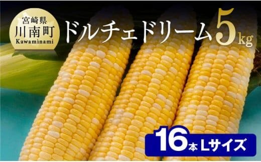 【令和8年発送】宮崎県産とうもろこし 朝どれ！守部さんちのドルチェドリーム (L)5kg 【 とうもろこし スイートコーン トウモロコシ スィートコーン 令和8年発送 】［C06405］