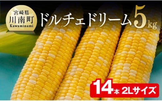 【令和8年発送】宮崎県産とうもろこし 朝どれ！守部さんちのドルチェドリーム (2L)5kg 【 とうもろこし スイートコーン トウモロコシ スィートコーン 令和8年発送 】［C06406］