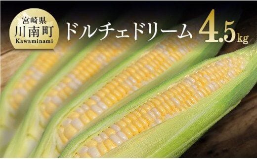 【令和8年発送】大山さんちのスイートコーン(ドルチェドリーム)4.5kg 【 先行予約 数量限定 期間限定 2026年発送 先行受付 宮崎県産 九州産 】［C07101］