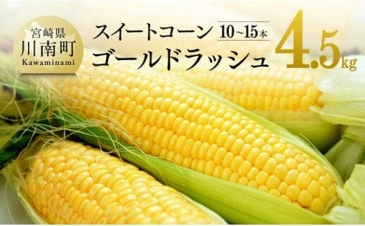 【令和8年発送】大山さんちのスイートコーン(ゴールドラッシュ)4.5kg 【 先行予約 数量限定 期間限定 スィートコーン 2026年発送 先行受付 宮崎県産 九州産 】［C07104］