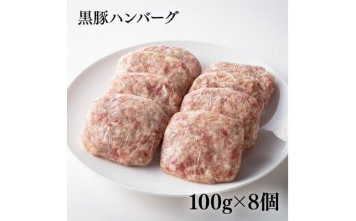 南九州産黒豚７種 「黒豚セット」【数量限定 肉 豚 黒豚 セット 惣菜