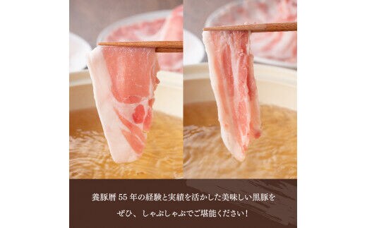 南九州産黒豚２種 「しゃぶしゃぶセット」【数量限定 肉 豚 黒豚