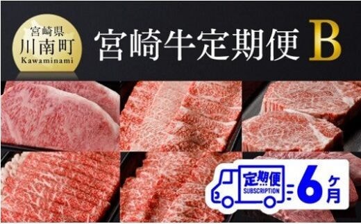 【定期便】宮崎牛６ヶ月定期便Ｂ【 肉 牛肉 国産 黒毛和牛 肉質等級4等級以上 4等級 5等級 ミヤチク ステーキ 焼肉 全６回 定期便 】［D00683t6］