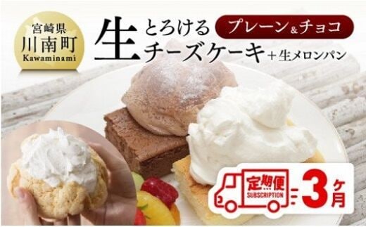 【定期便３ヶ月コース】 とろける生チーズケーキ （プレーン・チョコ）+ メロンパン 【 菓子 デザート チーズケーキ セット 全3回 】 宮崎県川南町 [G2701]