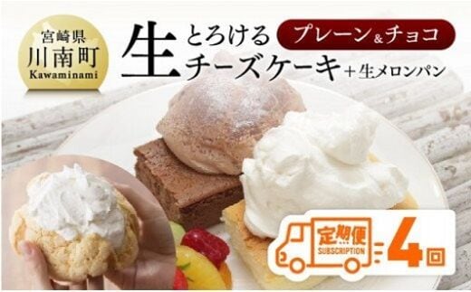 【定期便４回コース】 とろける生チーズケーキ （プレーン・チョコ）+ メロンパン 【 菓子 デザート チーズケーキ セット 全4回 】 宮崎県川南町 [G2702]