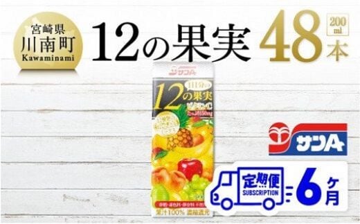 【6ヶ月定期便】 サンA 1日分の12の果実 200ml×48本セット 【 飲料類 ソフトドリンク 果汁飲料 ミックスジュース 】 宮崎県川南町 [F3025t6]
