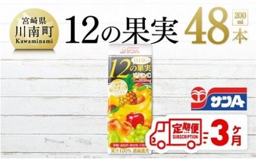 【3ヶ月定期便】 サンA 1日分の12の果実 200ml×48本セット 【 飲料類 ソフトドリンク 果汁飲料 ミックスジュース 】 宮崎県川南町 [F3025t3]