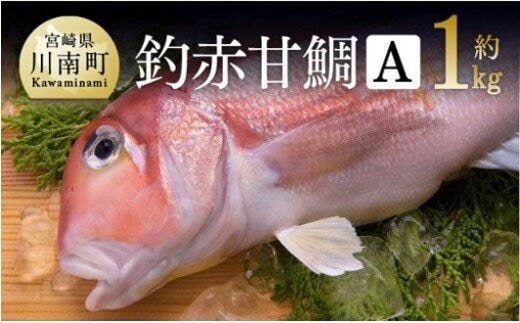 赤甘鯛 Ａセット 約1kg 【 魚介類 鮮魚 魚 鯛 タイ 】 宮崎県川南町 [D04408]