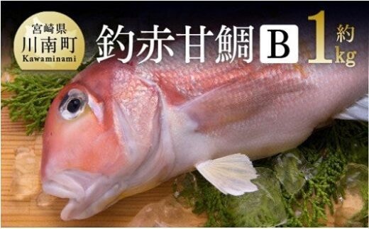 赤甘鯛 Ｂセット 約1kg 【 魚介類 鮮魚 魚 鯛 タイ 】 宮崎県川南町 [D04409]