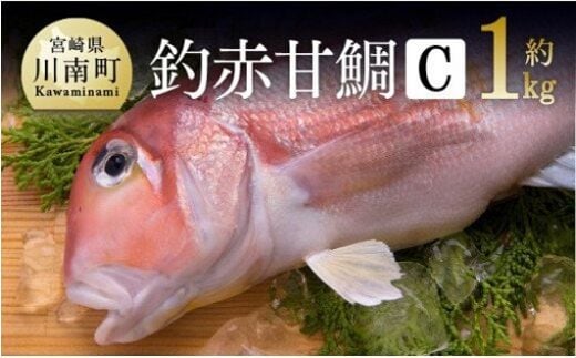 赤甘鯛 Cセット 約1kg 【 魚介類 鮮魚 魚 鯛 タイ 】 宮崎県川南町 [D04410]