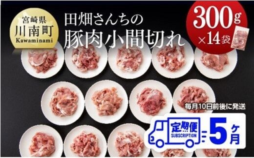 令和6年2月より発送開始※【5ヶ月定期便】 宮崎県産豚 川南ポーク