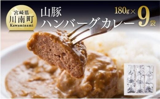 山豚ハンバーグカレー１８０ｇ×９袋 【 肉 豚肉 肉加工品 惣菜 】 宮崎県川南町 [G7506]