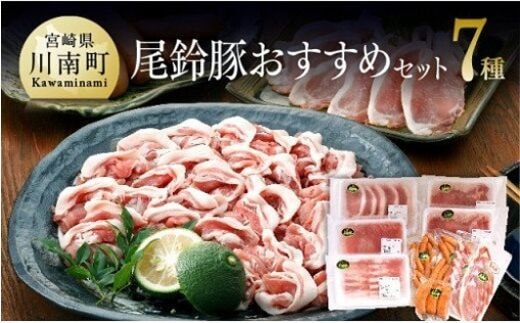 尾鈴豚おすすめセット 【 肉 豚肉 精肉 肉加工品 惣菜 詰め合わせ ロースしゃぶ ロースカツ カタロース バラ 骨付きフランク あらびきウインナー 生ハム ロース 】【C00402】