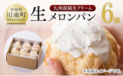 『押川春月堂本店』生メロンパン6個 [H2706]