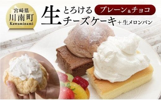 『押川春月堂本店』とろける生チーズケーキセット（プレーン＆チョコ）【 生メロンパン ケーキ 焼菓子 お菓子 スイーツ 】[H2702]