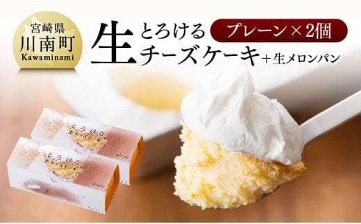 『押川春月堂本店』とろける生チーズケーキ（プレーン2個）【 生メロンパン ケーキ 焼菓子 お菓子 スイーツ 】[H2703]
