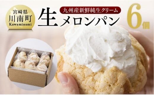 『押川春月堂本店』生メロンパン6個 [H2706]