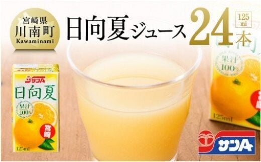 サンA 日向夏ジュース ( 果汁100% ) 125ml×24本セット 【 飲料類 ソフトドリンク 果汁飲料 ご当地飲料 】 宮崎県川南町 [F3021]