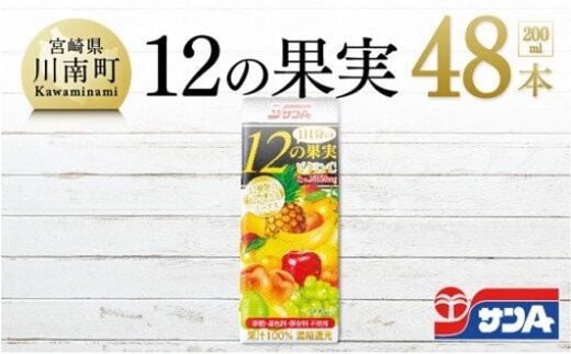 サンA １日分の12の果実 48本セット 【 飲料類 ソフトドリンク 果汁飲料 ミックスジュース 】 宮崎県川南町 [F3025]