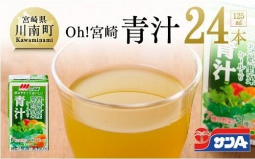 サンA Oh!宮崎 「 青汁 」 125ml×24本セット 【 飲料類 ソフトドリンク 野菜ジュース ご当地飲料 】 宮崎県川南町 [F3012]