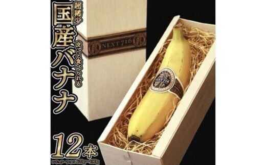 国産バナナ 「NEXT716」 12本セット [H5804P]